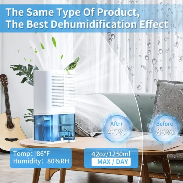 Dehumidifiers for Home